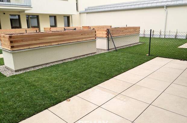 Terrassenwohnung mieten in 1230 Wien (Bild 2)