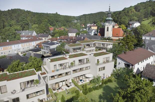 Haus mit Garten kaufen in 1190 Wien