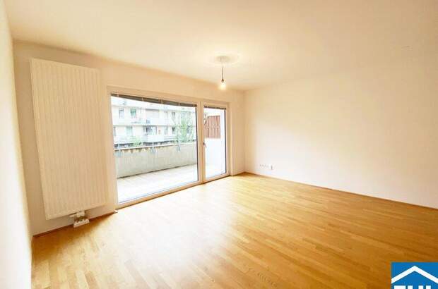 Terrassenwohnung mieten in 1220 Wien (Bild 1)