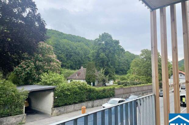 Terrassenwohnung kaufen in 2391 Kaltenleutgeben (Bild 1)