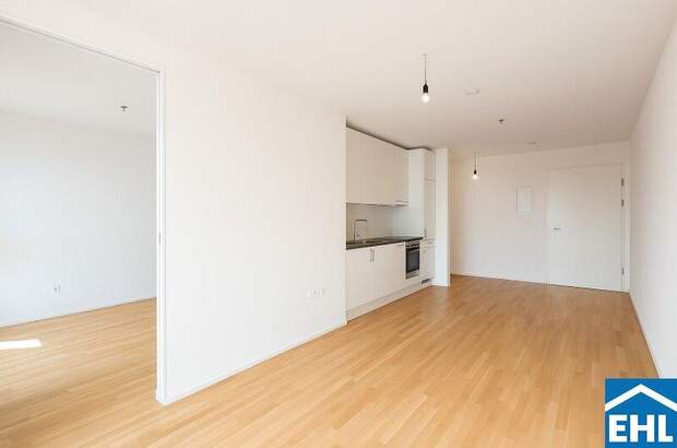 Terrassenwohnung mieten in 1100 Wien (Bild 2)