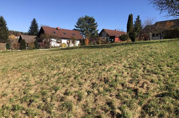 Grundstück kaufen in 8045 Weinitzen (Bild 2)