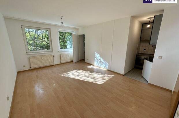 Wohnung kaufen in 1100 Wien (Bild 1)