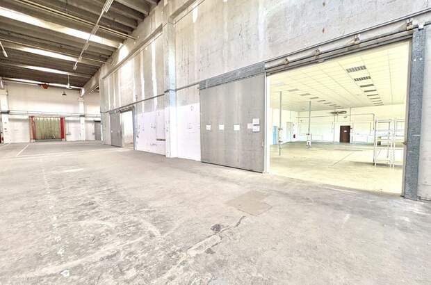 Gewerbeobjekt mieten in 2334 Vösendorf (Bild 4)