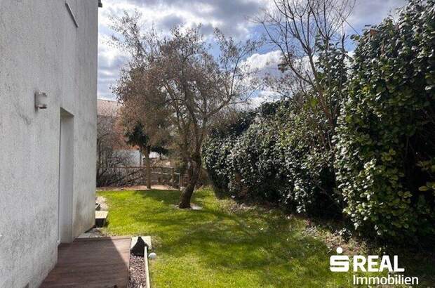 Terrassenwohnung kaufen in 4203 Altenberg (Bild 3)