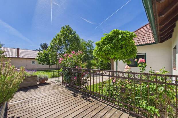 Haus mit Garten kaufen in 7131 Halbturn (Bild 4)