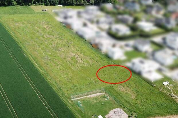 Grundstück kaufen in 4223 Ruhstetten (Bild 2)