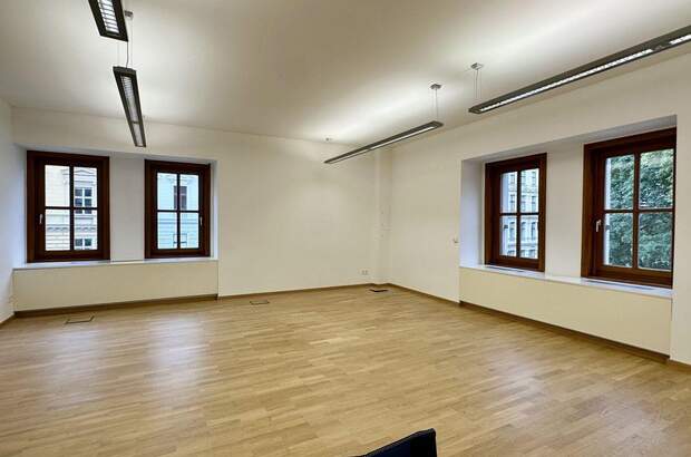 Gewerbeobjekt mieten in 1010 Wien (Bild 4)