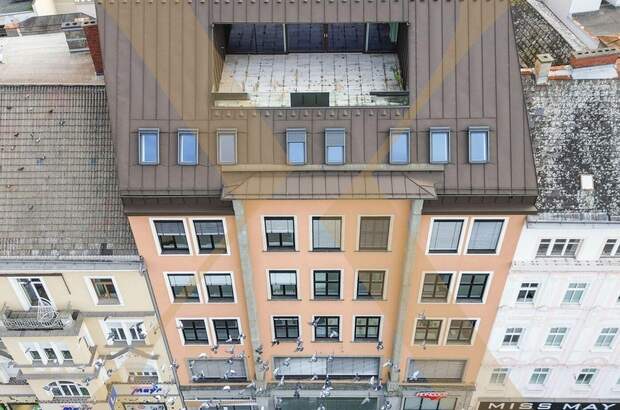 Gewerbeobjekt mieten in 4020 Linz (Bild 1)