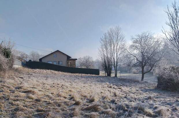 Grundstück kaufen in 4073 Wilhering (Bild 5)