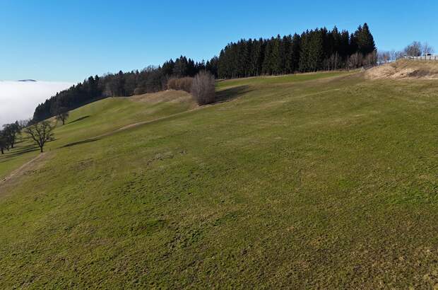 Grundstück kaufen in 3353 Seitenstetten Dorf (Bild 2)