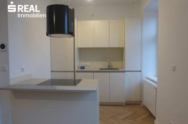 Terrassenwohnung mieten in 1010 Wien (Bild 5)