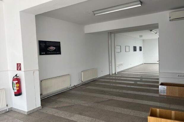 Gewerbeobjekt mieten in 4600 Wels (Bild 2)
