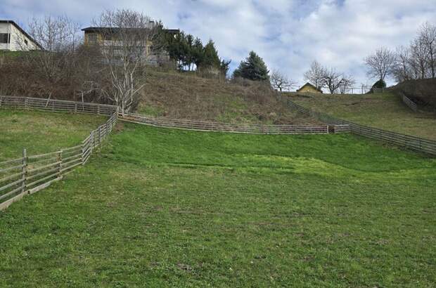 Grundstück kaufen in 8224 Hofkirchen (Bild 3)