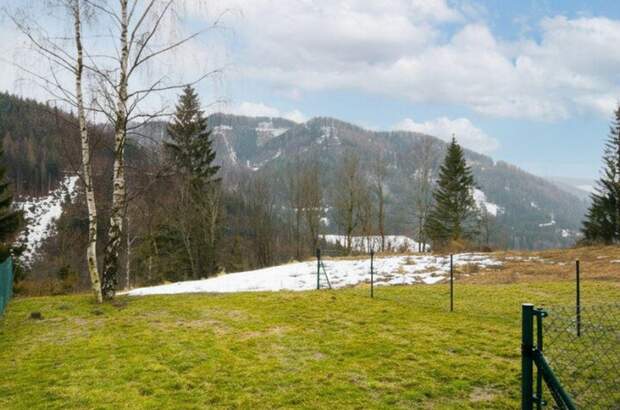 Gewerbeobjekt kaufen in 2680 Steinhaus (Bild 4)