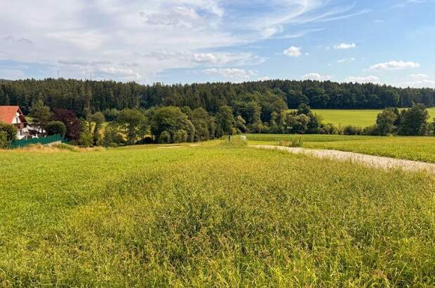 Grundstück kaufen in 8045 Graz (Bild 2)