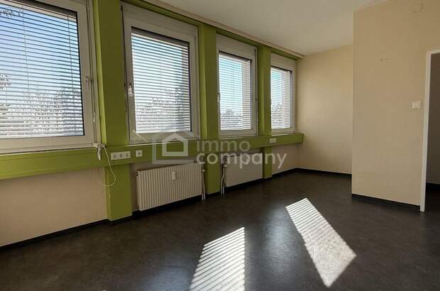 Gewerbeobjekt mieten in 2751 Steinabrückl (Bild 2)