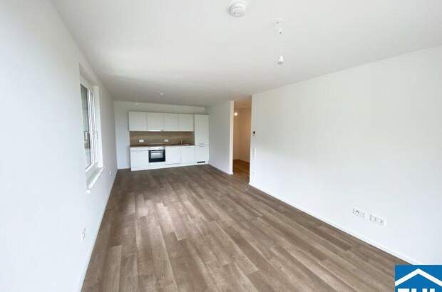 Terrassenwohnung mieten in 3451 Michelhausen (Bild 3)