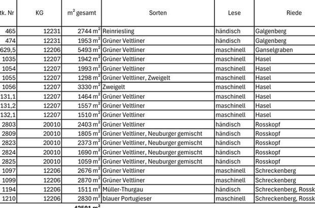 Gewerbeobjekt kaufen in 3492 Engabrunn (Bild 5)