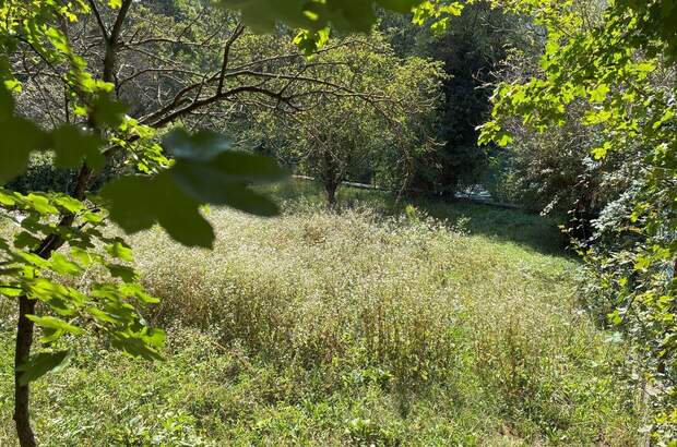 Haus kaufen in 1140 Wien (Bild 5)