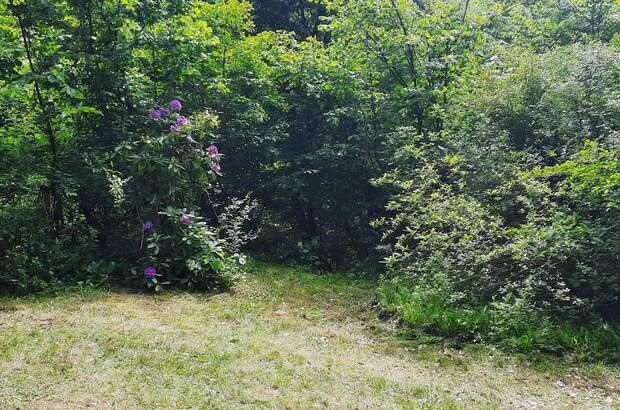 Grundstück kaufen in 3500 Krems (Bild 3)