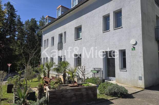 Wohnung kaufen in 8044 Graz (Bild 2)