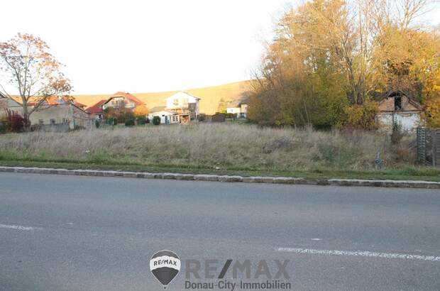 Grundstück kaufen in 2116 Nodendorf (Bild 5)