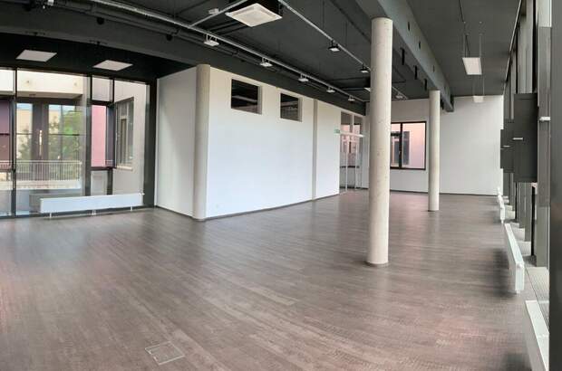 Gewerbeobjekt mieten in 8053 Graz (Bild 4)