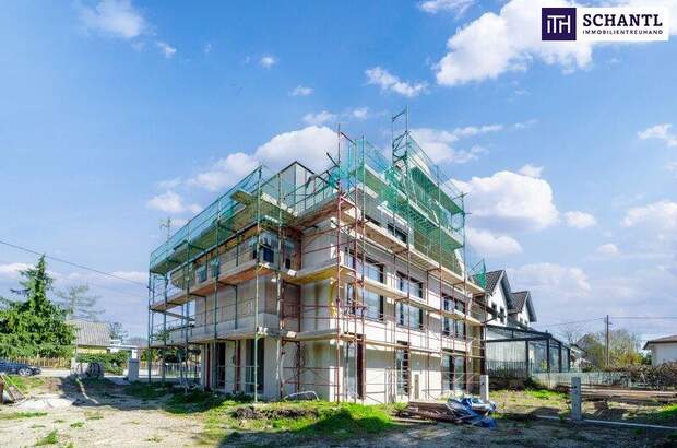 Terrassenwohnung kaufen in 1210 Wien (Bild 3)