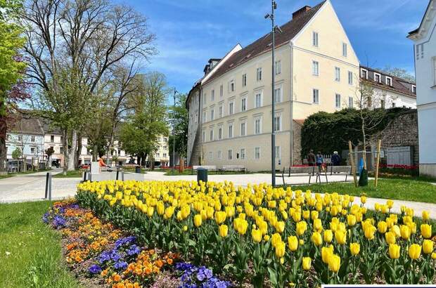 Gewerbeobjekt mieten in 4600 Wels (Bild 2)