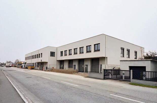 Büro / Praxis mieten in 4600 Wels (Bild 3)