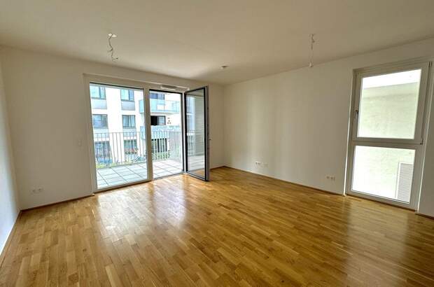 Wohnung kaufen in 1100 Wien (Bild 3)