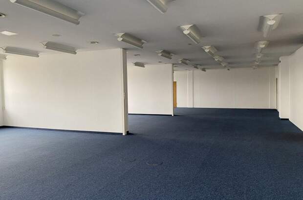 Gewerbeobjekt mieten in 1230 Wien (Bild 4)