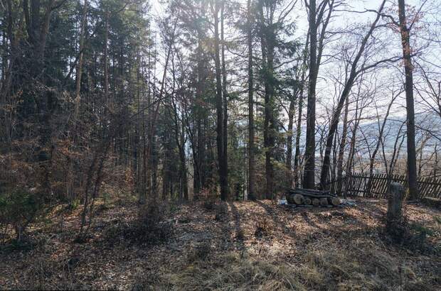 Grundstück kaufen in 8605 Kapfenberg (Bild 5)