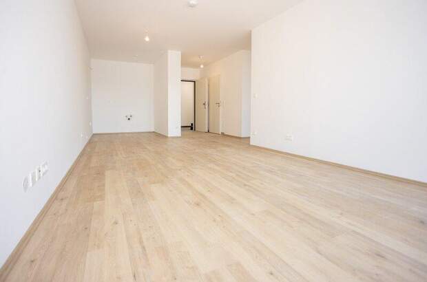 Terrassenwohnung kaufen in 2700 Wr. Neustadt (Bild 4)