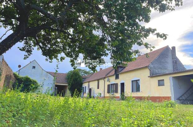 Haus mit Garten kaufen in 7091 Breitenbrunn