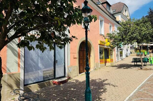Haus kaufen in 3400 Klosterneuburg (Bild 2)