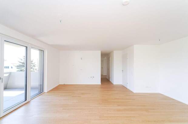 Anlageobjekt kaufen in 2345 Brunn (Bild 1)
