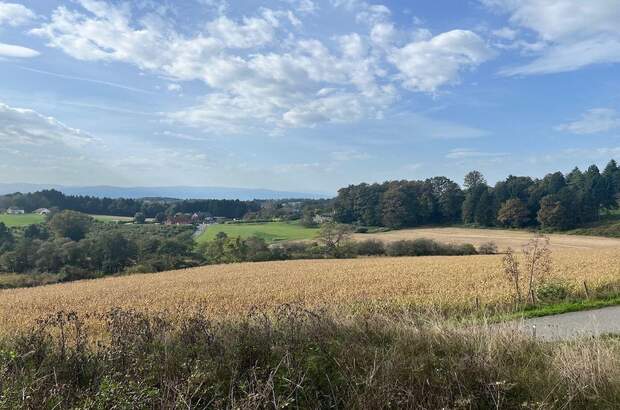 Grundstück kaufen in 8410 Allerheiligen (Bild 2)