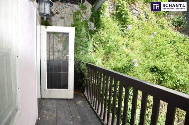 Terrassenwohnung kaufen in 5020 Salzburg (Bild 1)