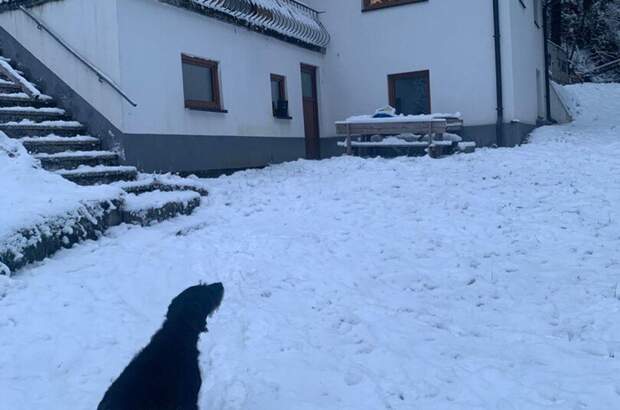 Haus mit Garten kaufen in 9811 Lendorf (Bild 3)
