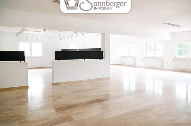 Büro / Praxis mieten in 4470 Enns (Bild 2)