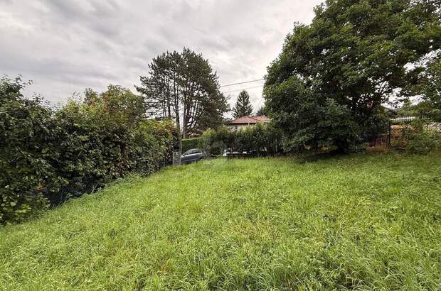 Grundstück kaufen in 2384 Breitenfurt (Bild 3)