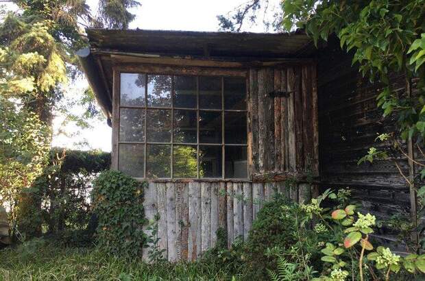 Einfamilienhaus kaufen in 2231 Strasshof (Bild 5)