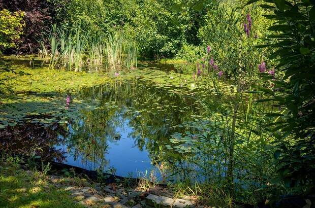 Einfamilienhaus kaufen in 2551 Enzesfeld (Bild 2)