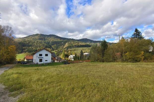 Grundstück kaufen in 8684 Spital (Bild 5)