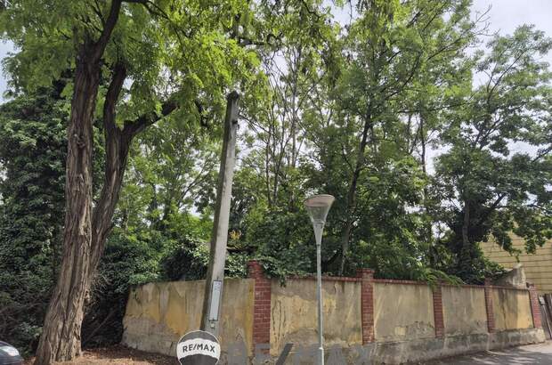 Grundstück kaufen in 2301 Groß (Bild 3)