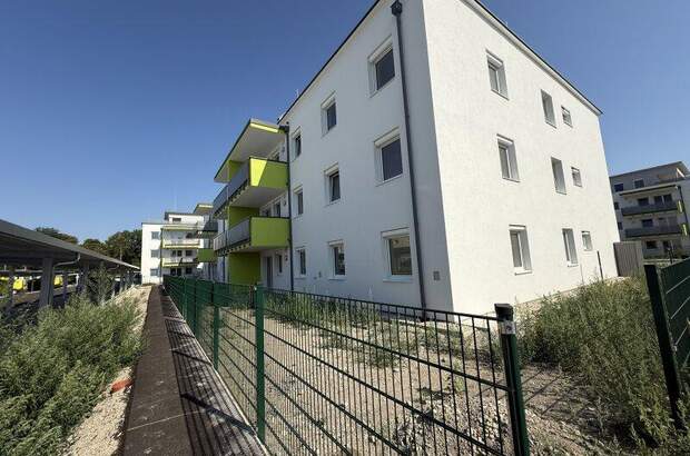 Terrassenwohnung kaufen in 2442 Unterwaltersdorf (Bild 2)