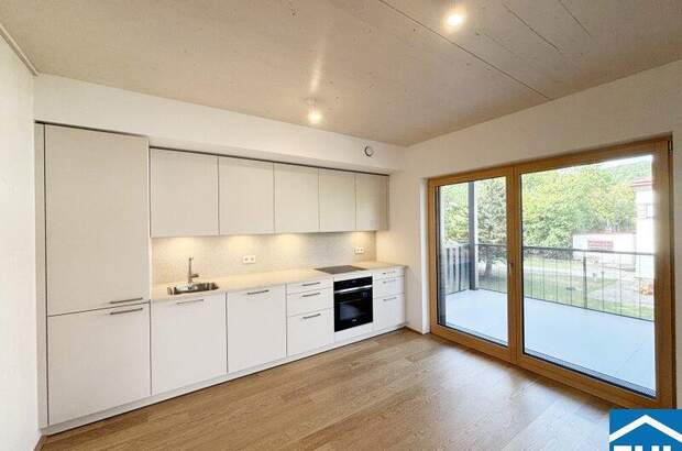 Terrassenwohnung mieten in 2340 Mödling (Bild 1)