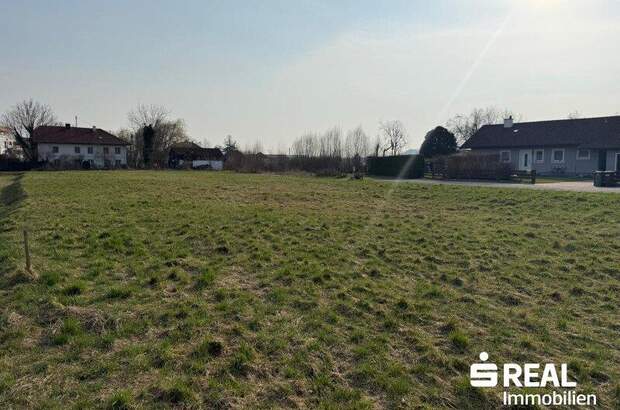 Grundstück kaufen in 4070 Pupping (Bild 4)